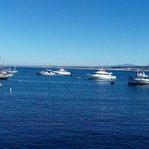 Meet your Posher, Hai